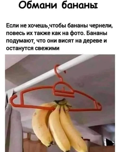 Никому нельзя верить