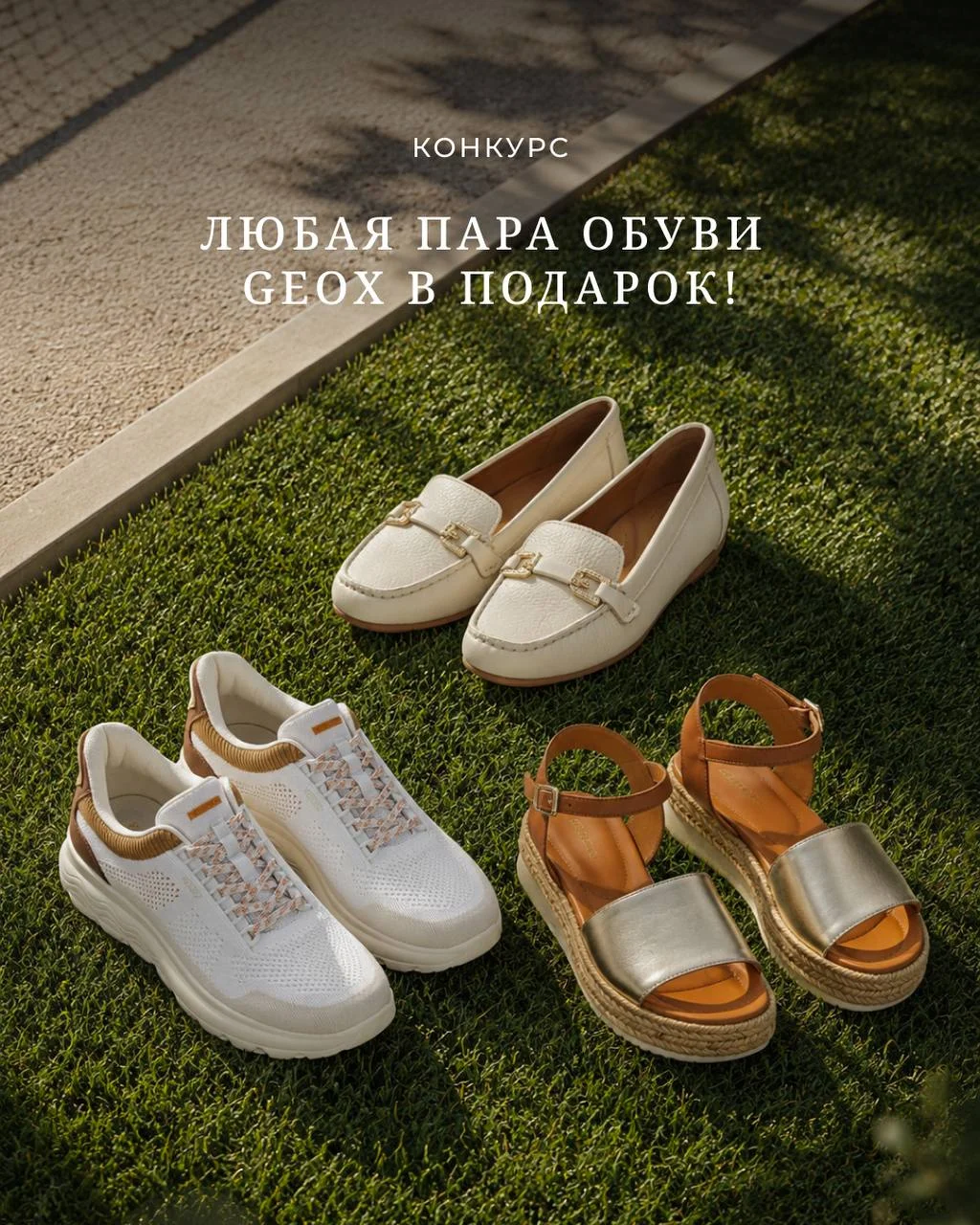 Любите ли вы получать подарки так же сильно, как мы любим их дарить?