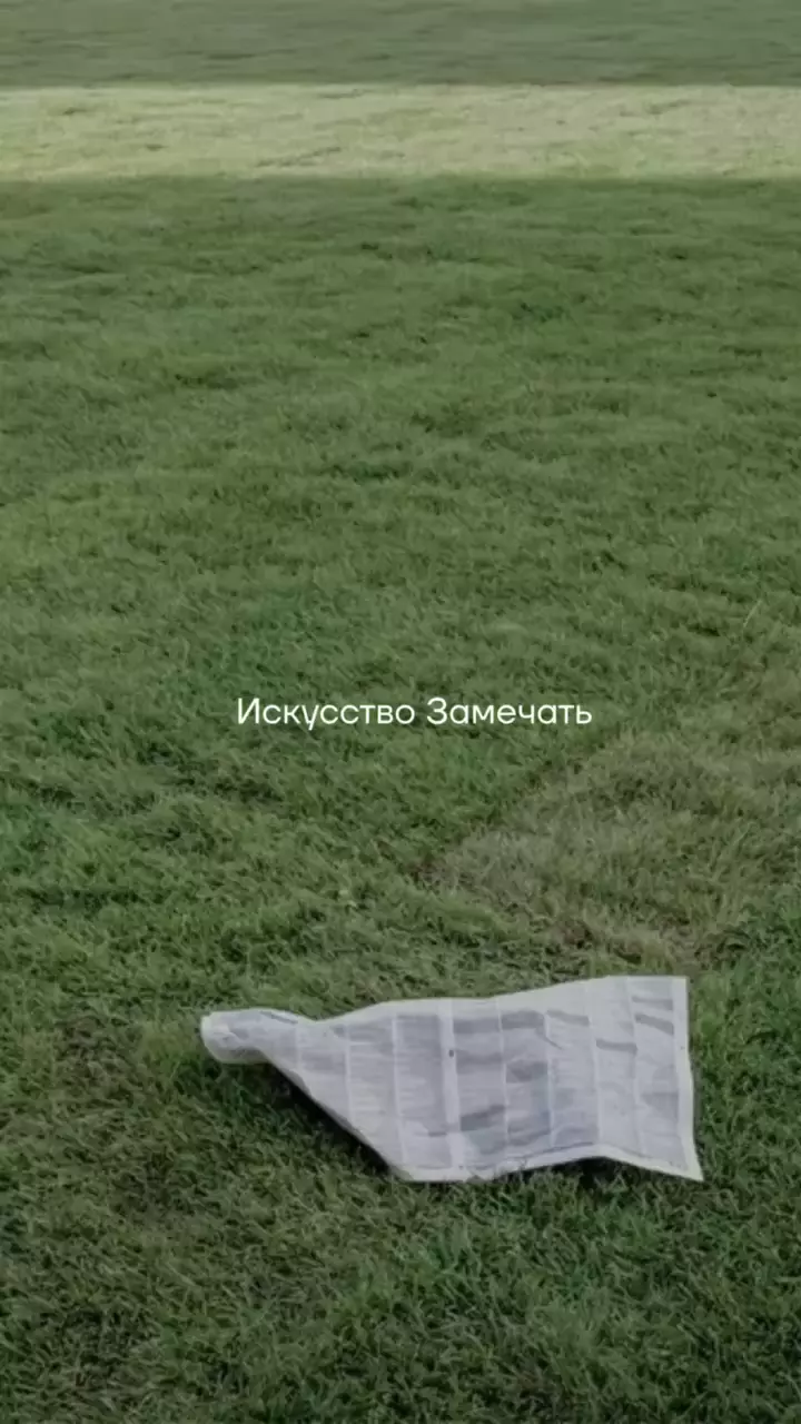 Замечать — это искусство