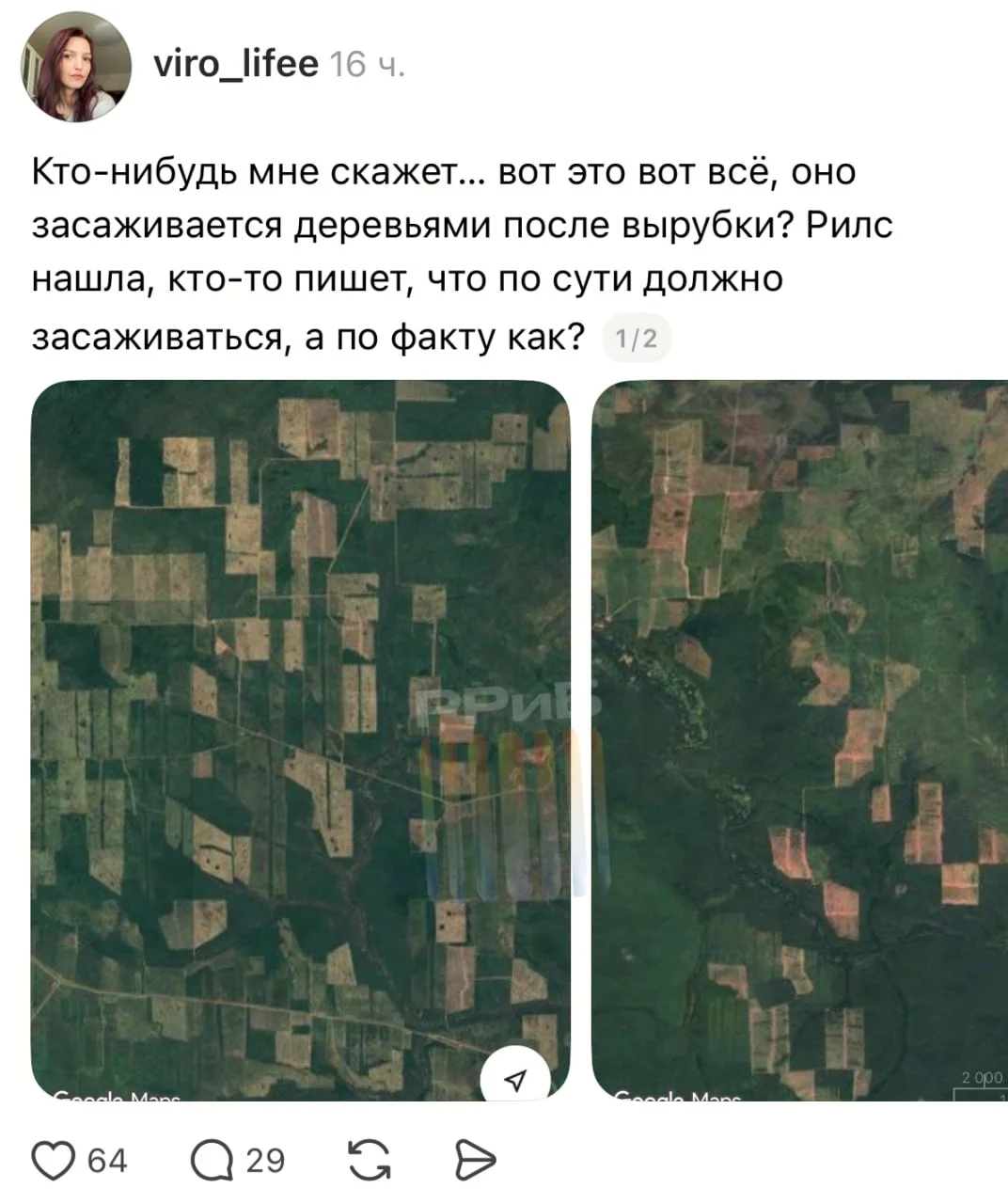Россияне шокированы масштабами вырубки леса в стране