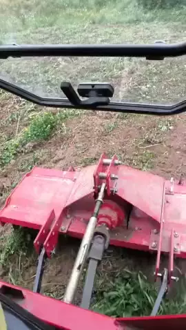 Насчет живу в лесу это не шутка :)