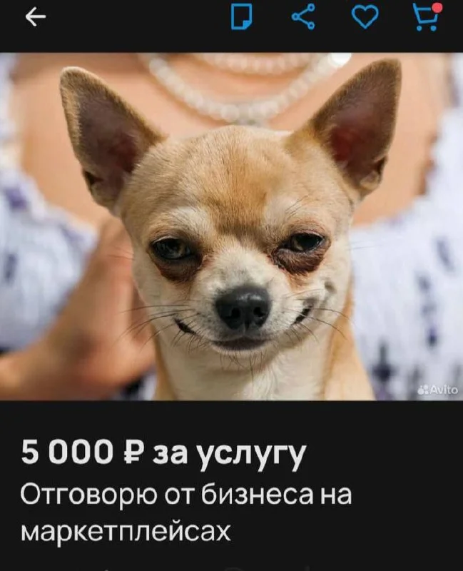 ➡️ Печальная статистика: 87% селлеров все еще сидят на маркетплейсках и ждут когда 🛍Wildberries