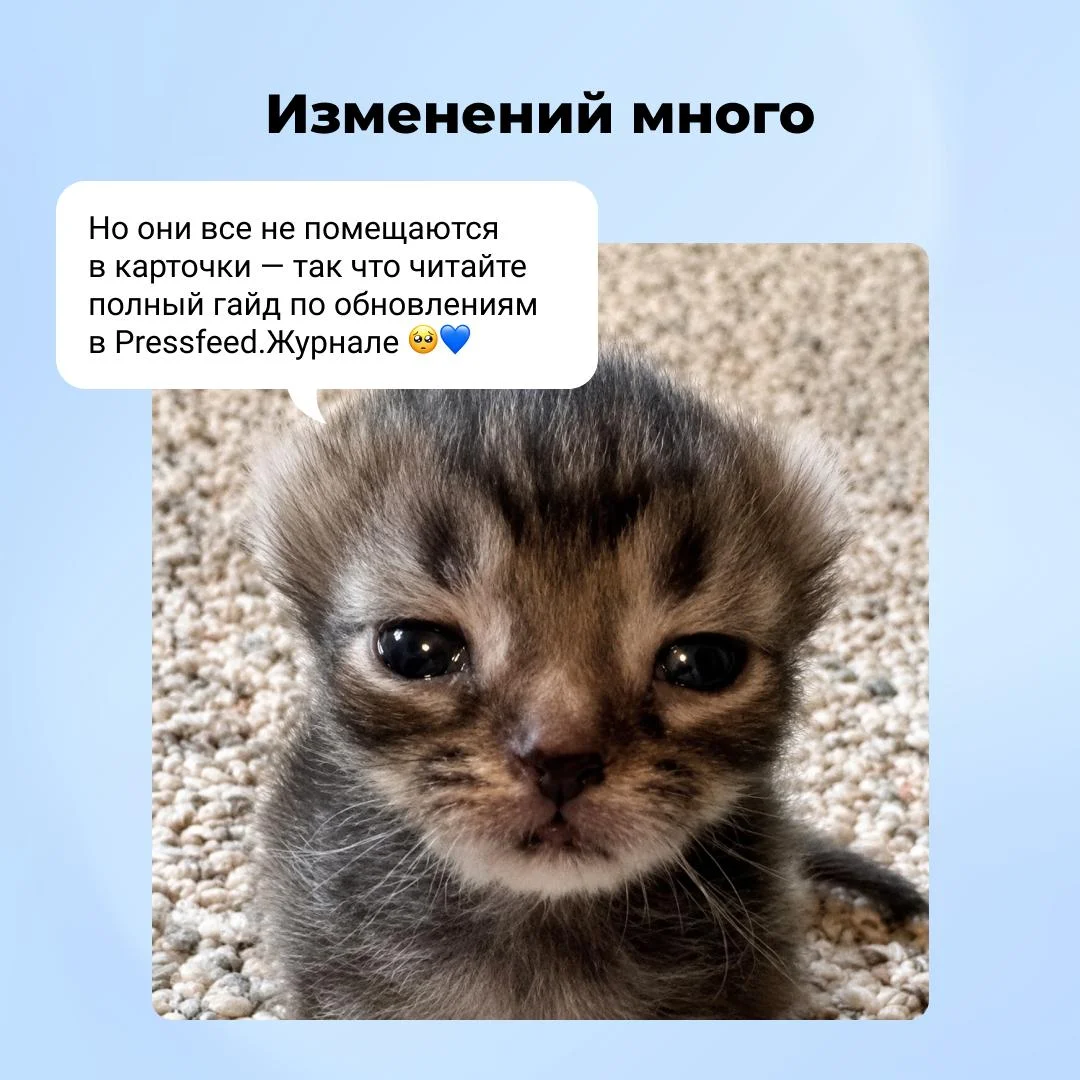 ОБНОВЛЕНИЯ СЕРВИСА ‼️