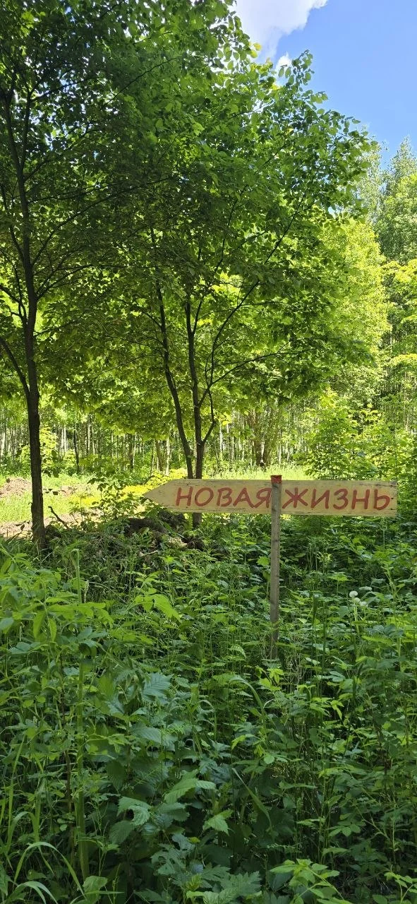 Дорогульки, продолжаем наше 😇🥹😘😉в удовольствие