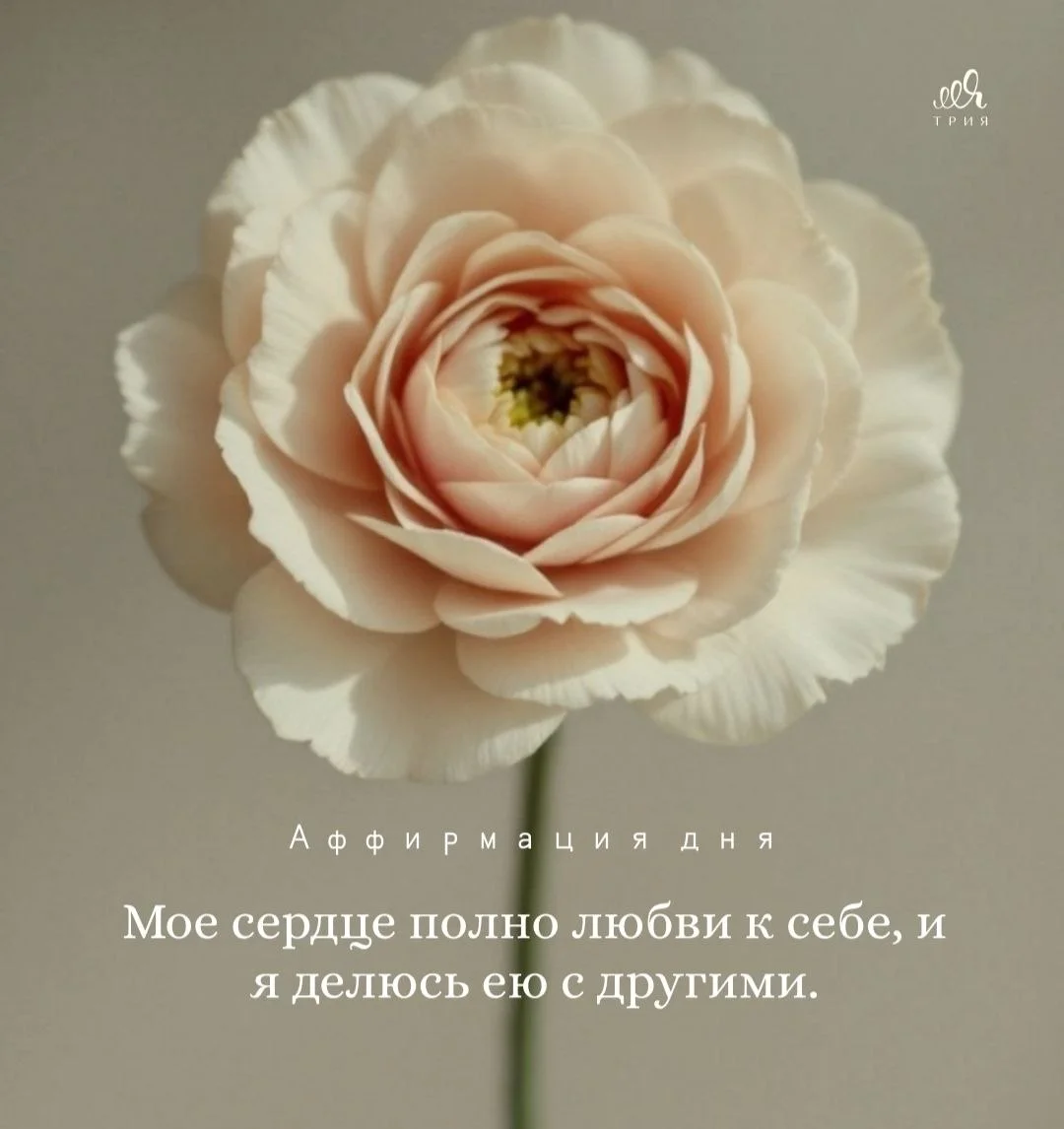 Доброго утра понедельника 🌸