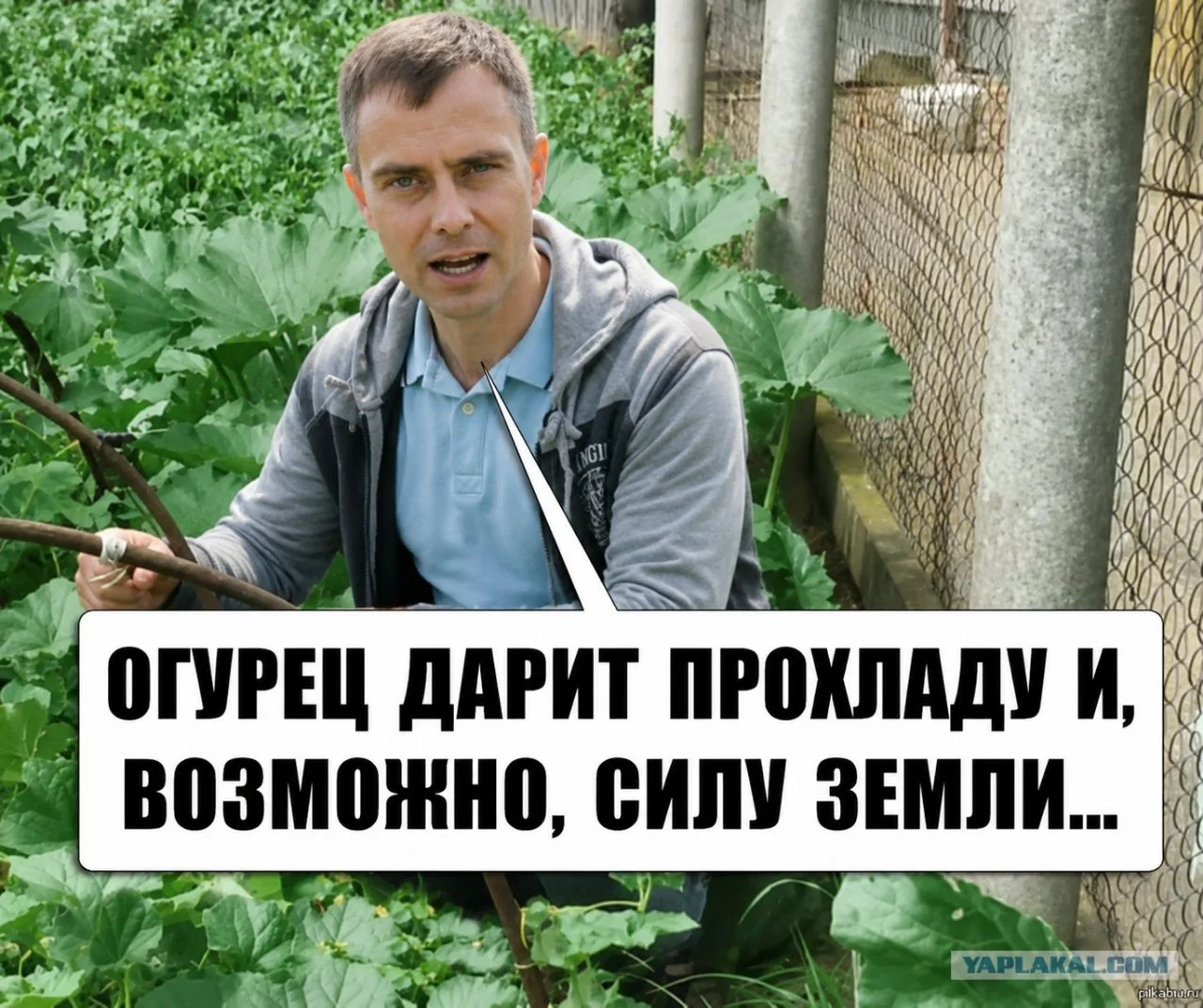 Comment media