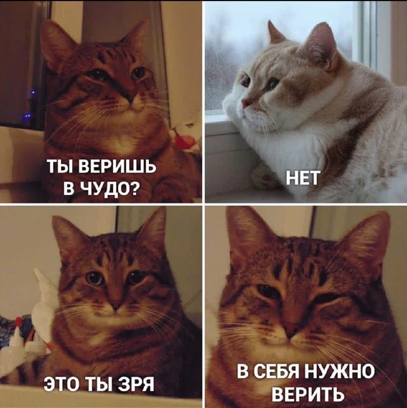 Comment media