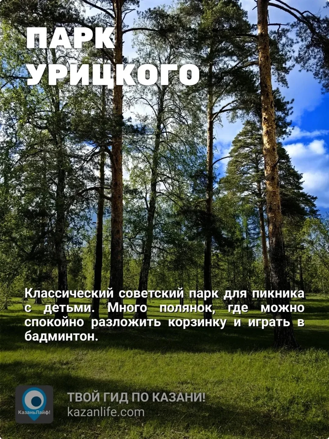 Если вы любите пикник на природе, то эта подборка для вас