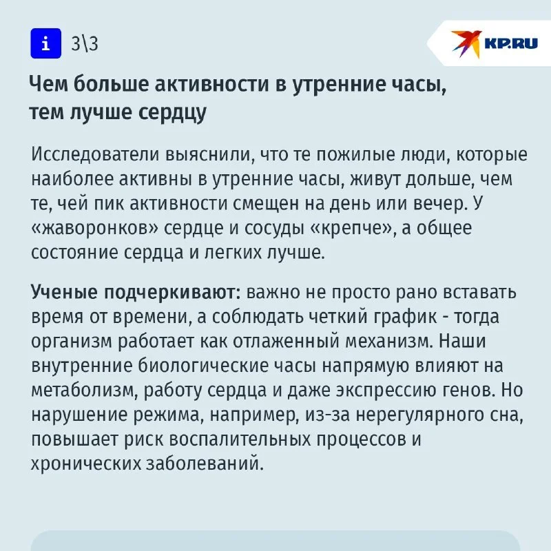 Шагом марш к дзену: как утренняя прогулка до офиса спасет ваши нервы и фигуру! ‍♂✨