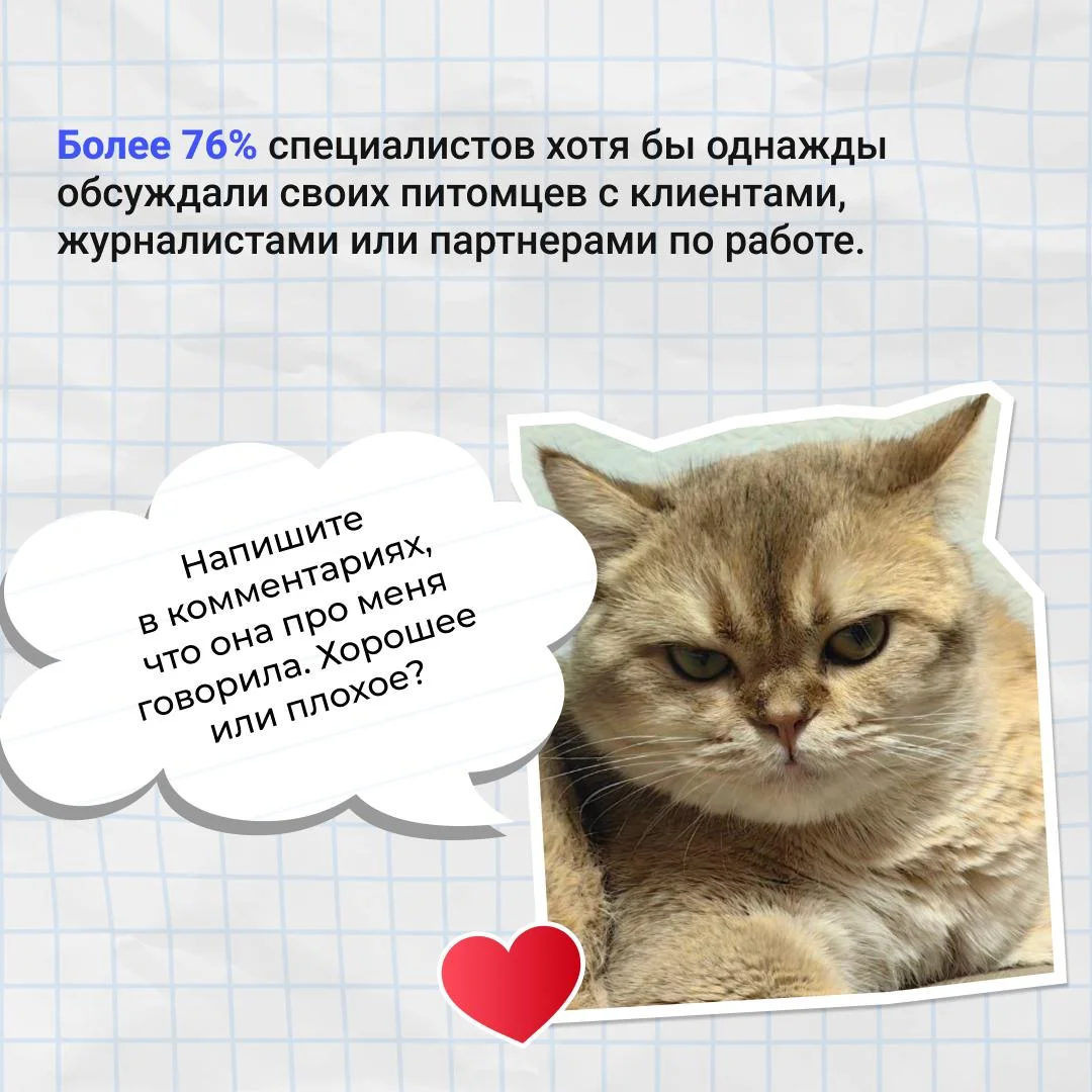 Коллеги, а у вас есть питомец?