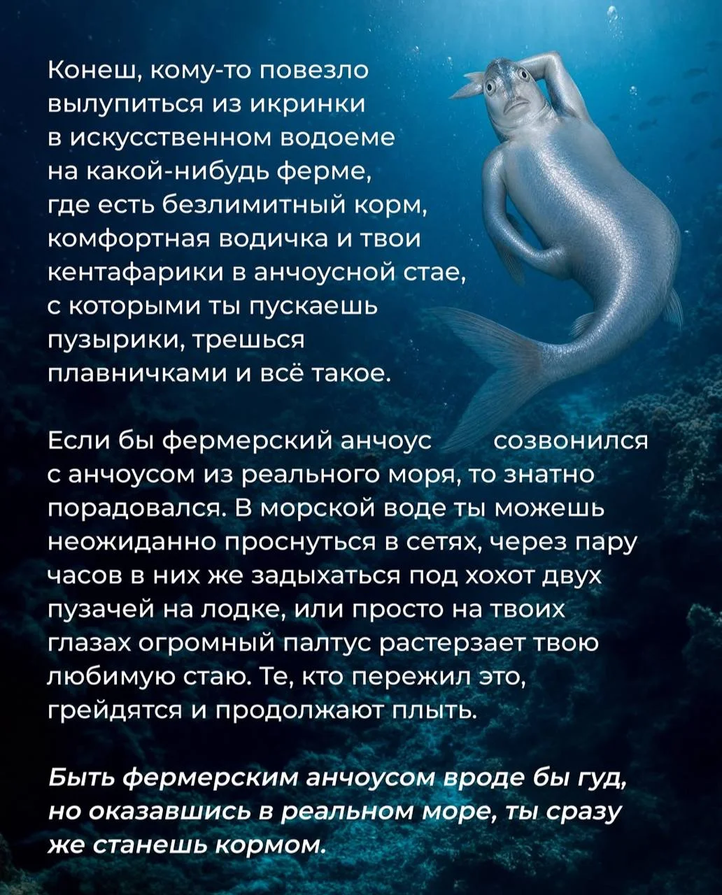 Последствия атак БПЛА на склады маркетплейсов затронули и довольно популярные медийные бренды