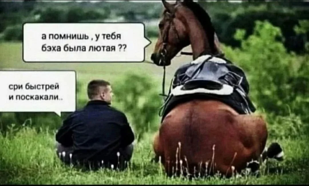 Comment media