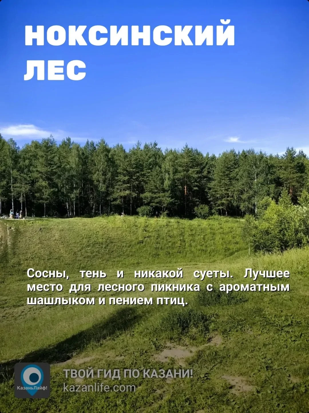 Если вы любите пикник на природе, то эта подборка для вас