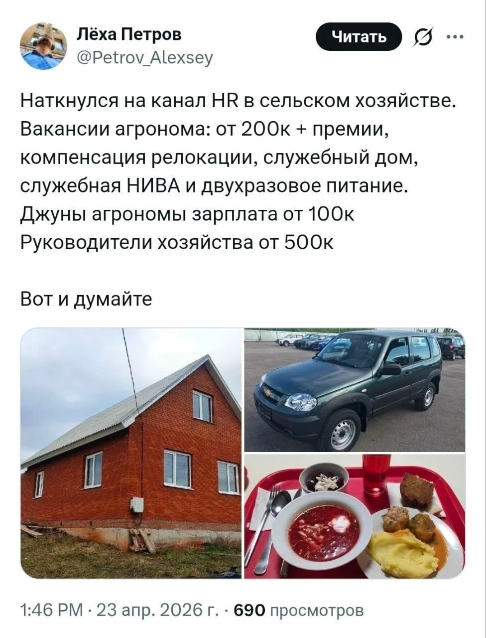 Россияне нашли новую золотую жилу на рынке труда