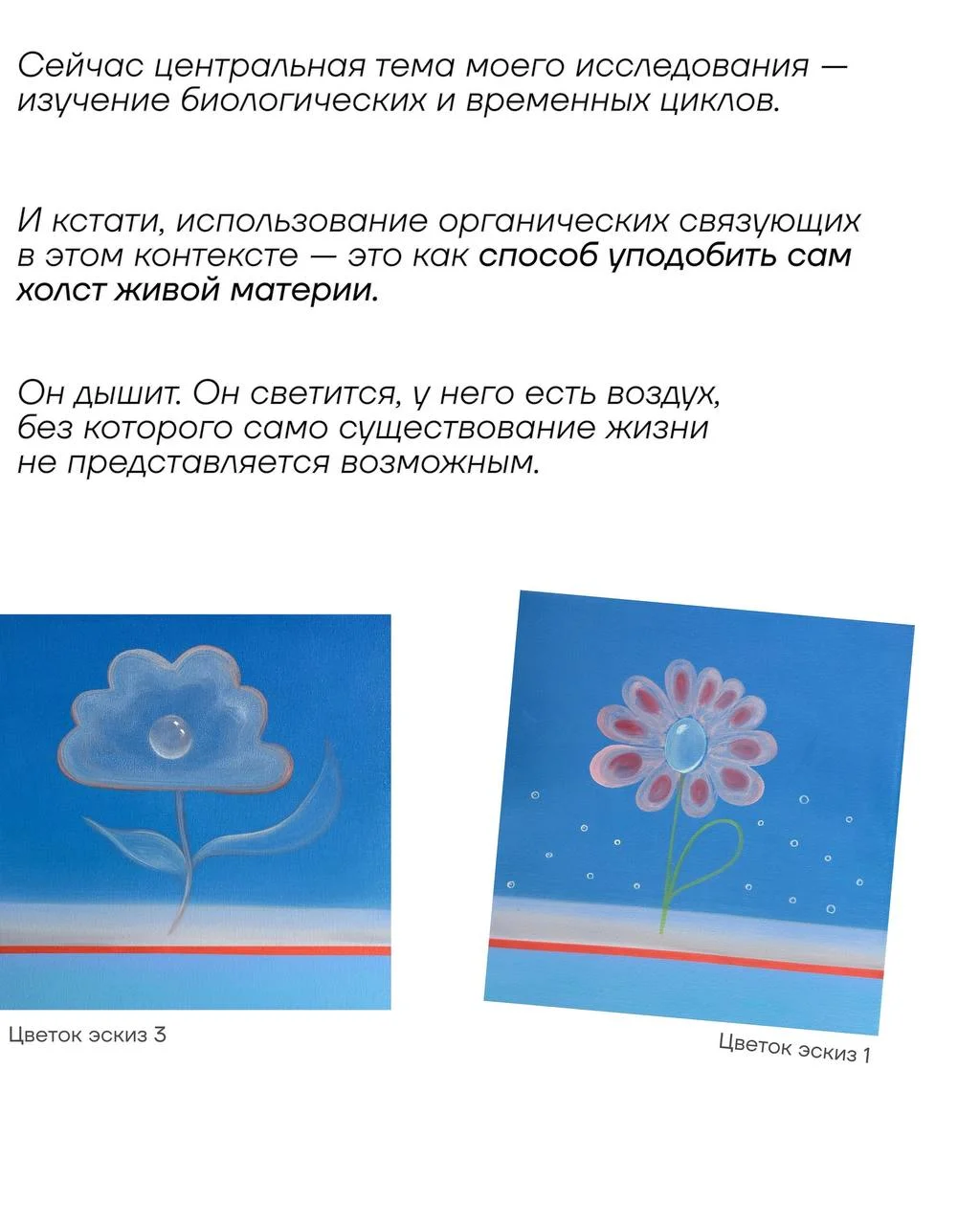 Что мы храним от лета?