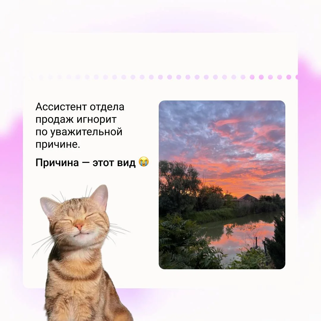 Диджитальщики, срочно присылаем свои дачи ‼️