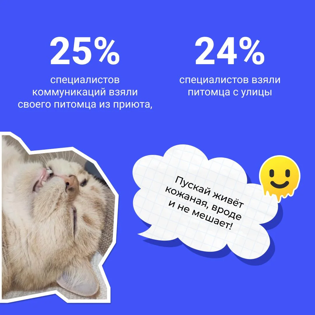 Коллеги, а у вас есть питомец?