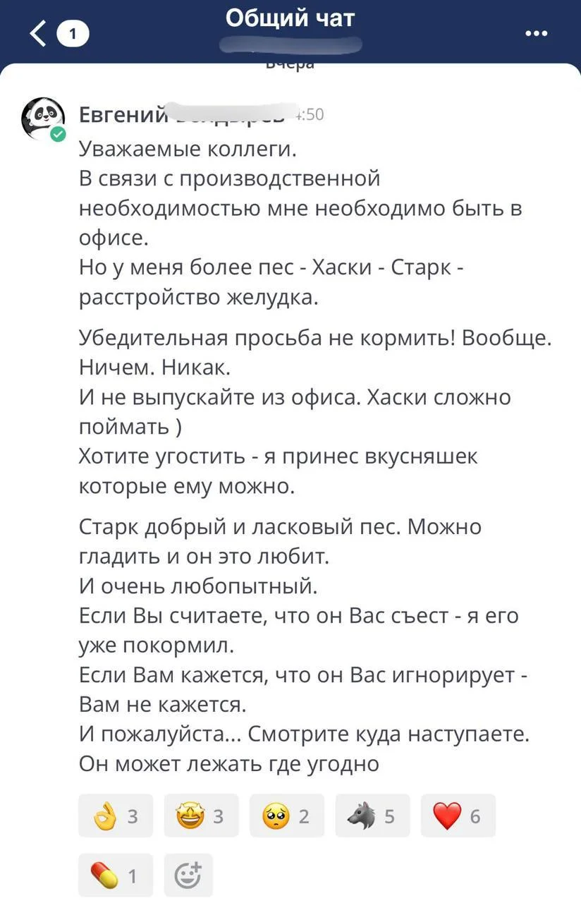 Официально: лучший рабочий чат сегодня команды АльфаCRM 🐾