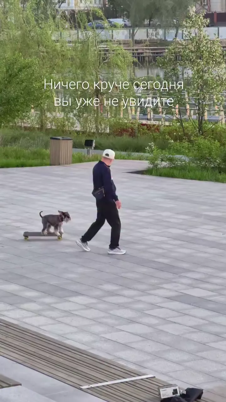 Я думал что это ИИ, но оказывается это реально) сам снимал)