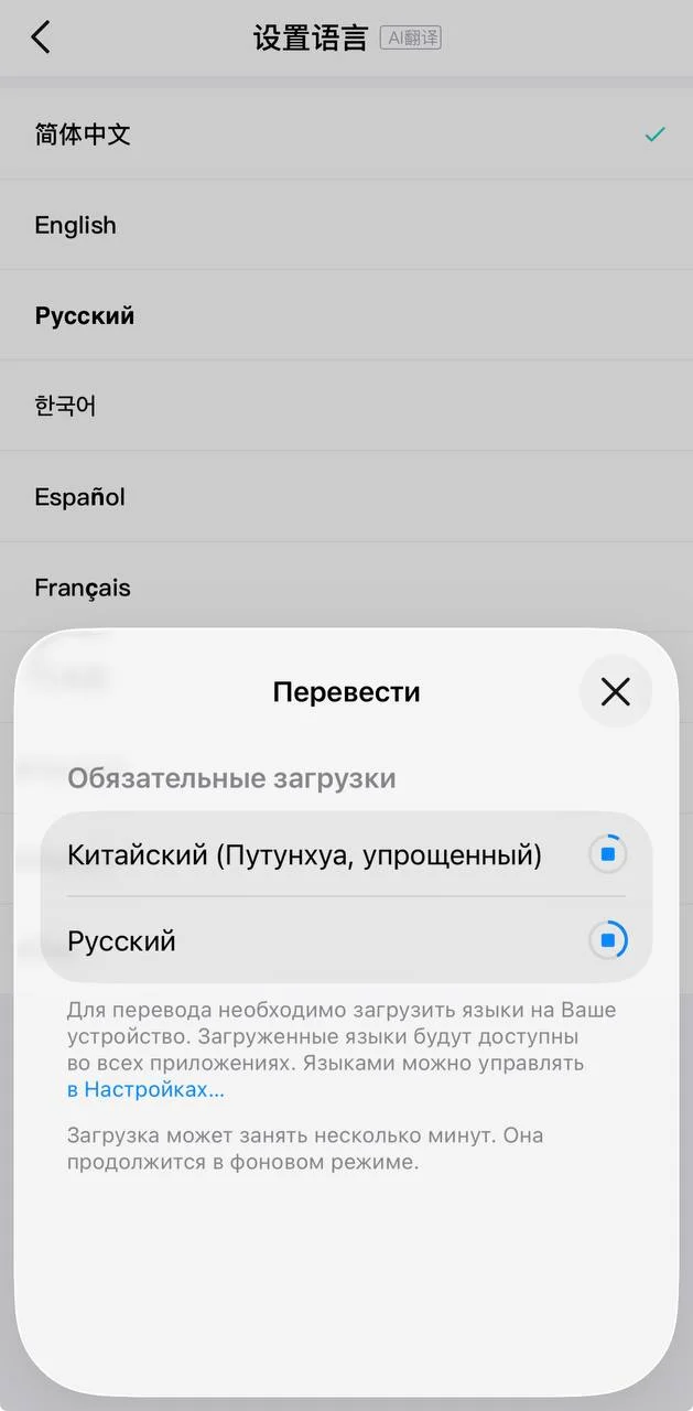 🇨🇳📱 В приложение Poizon появился русский язык