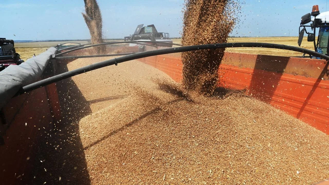 🌾 Россия — Китаю: рекордный экспорт агропродукции