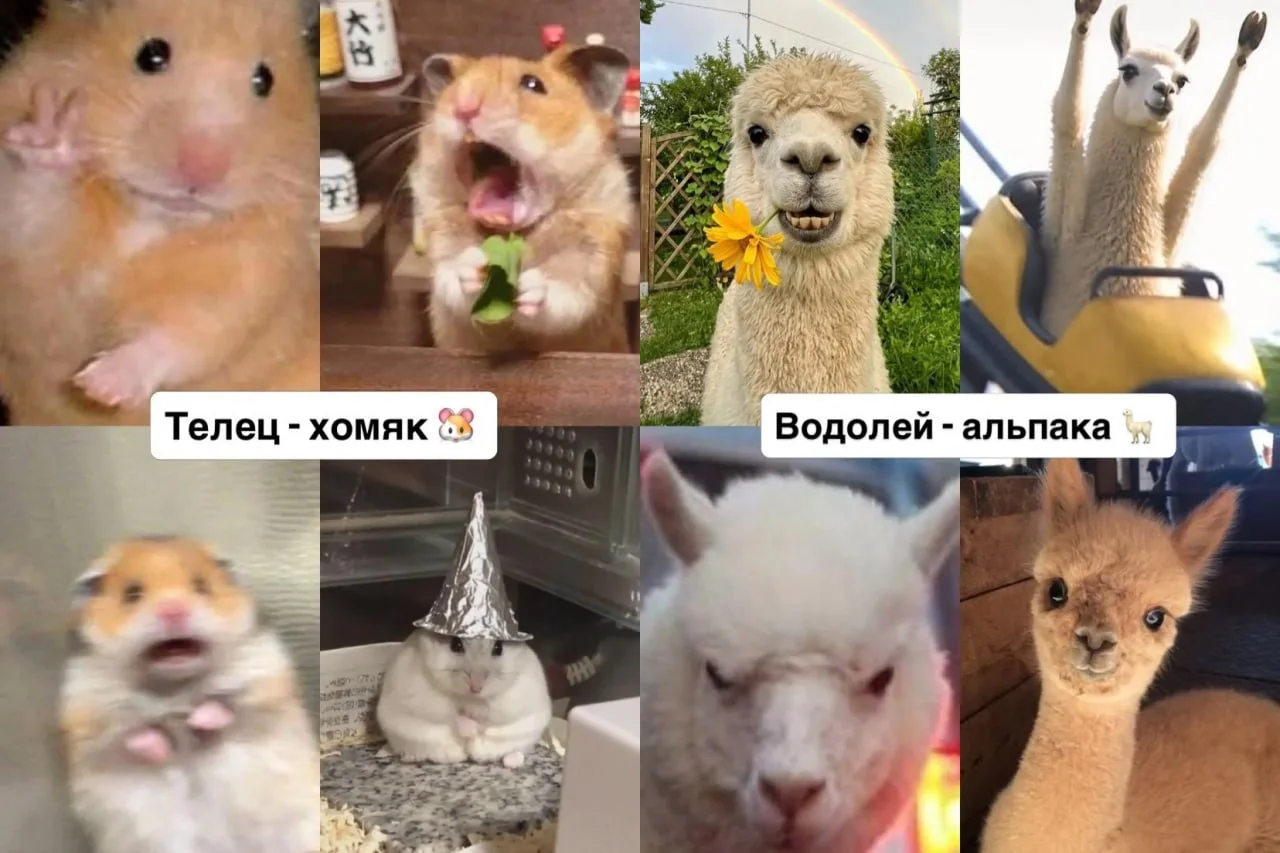 Что-то интересное....