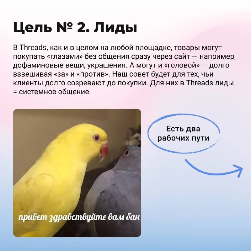 Как бесплатно получать лидов, коллабы и деньги с Тредсов