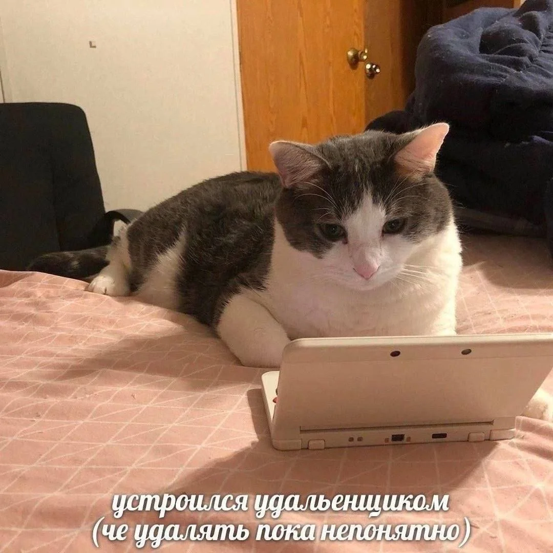 Comment media