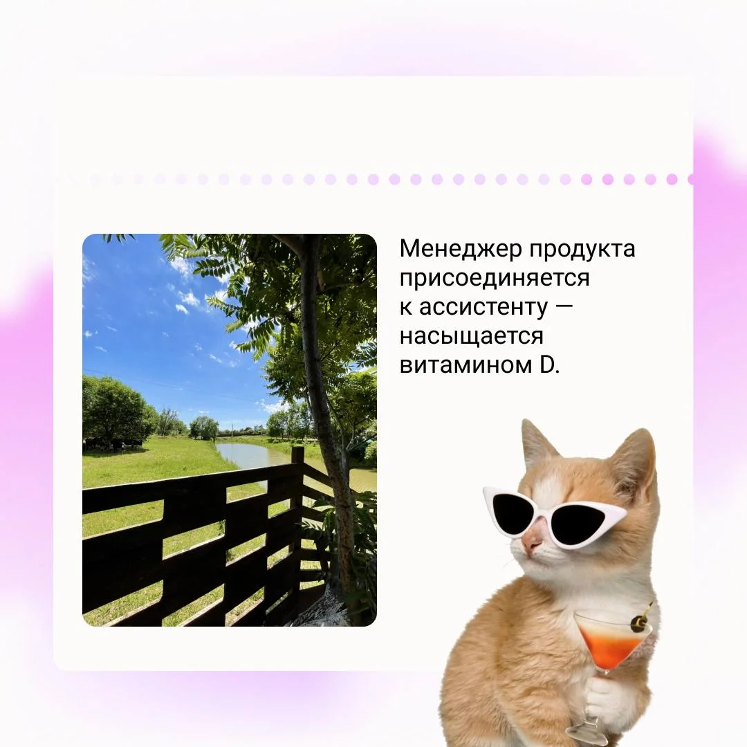 Диджитальщики, срочно присылаем свои дачи ‼️