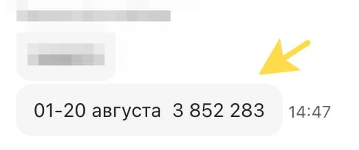 Выручка xmldatafeed.com за 20 дней августа