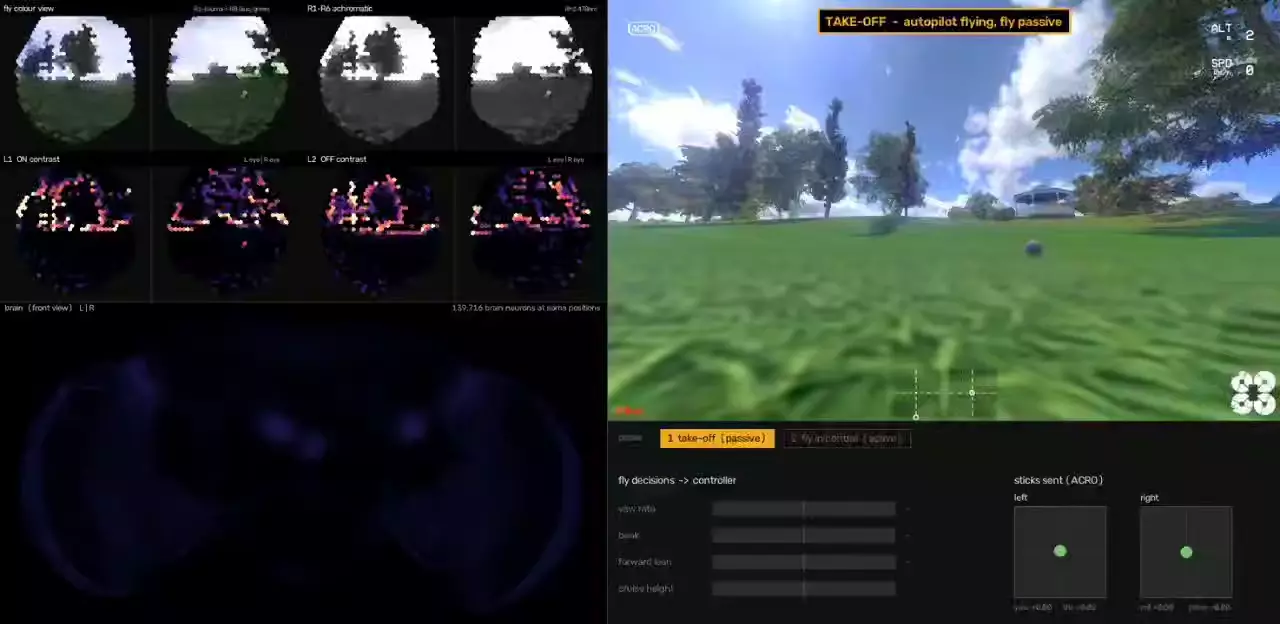 Мёртвую муху научили управлять FPV-дроном — она уже умеет уклоняться от препятствий и держать