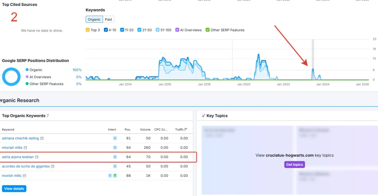 π ΠΡΠΎΠ²Π΅ΡΠΊΠ° Π΄ΠΎΠΌΠ΅Π½Π° Π½Π° ΡΠΏΠ°ΠΌ Π² semrush
