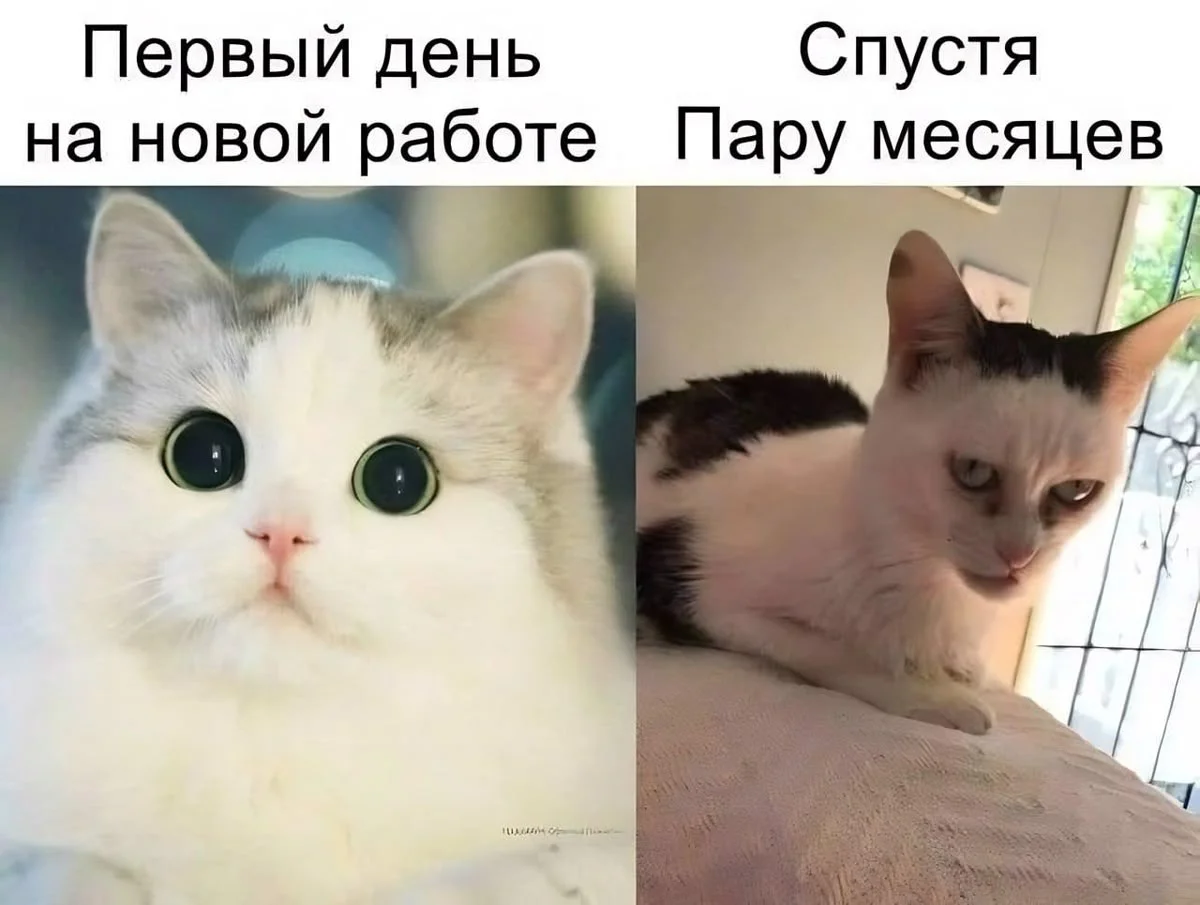 Юмор выходного дня 😂