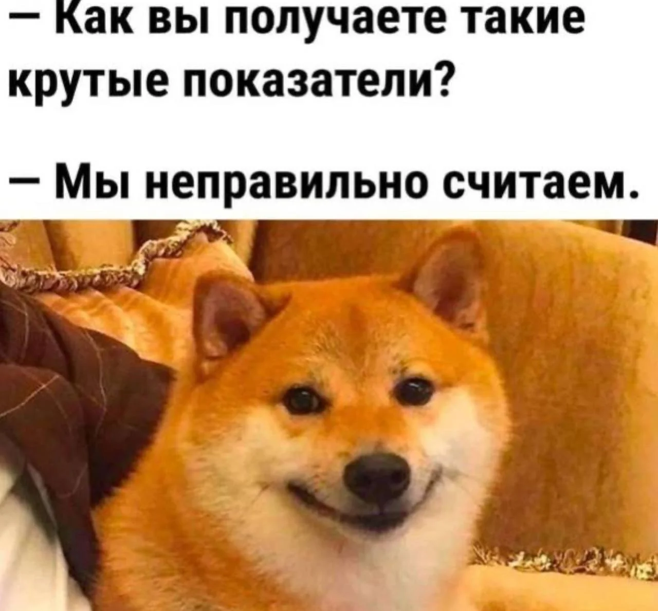 Буду 3 дня наблюдателем на Избирательном участке