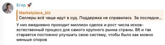 Миллион сделок в день не объясняет рост исков к WB