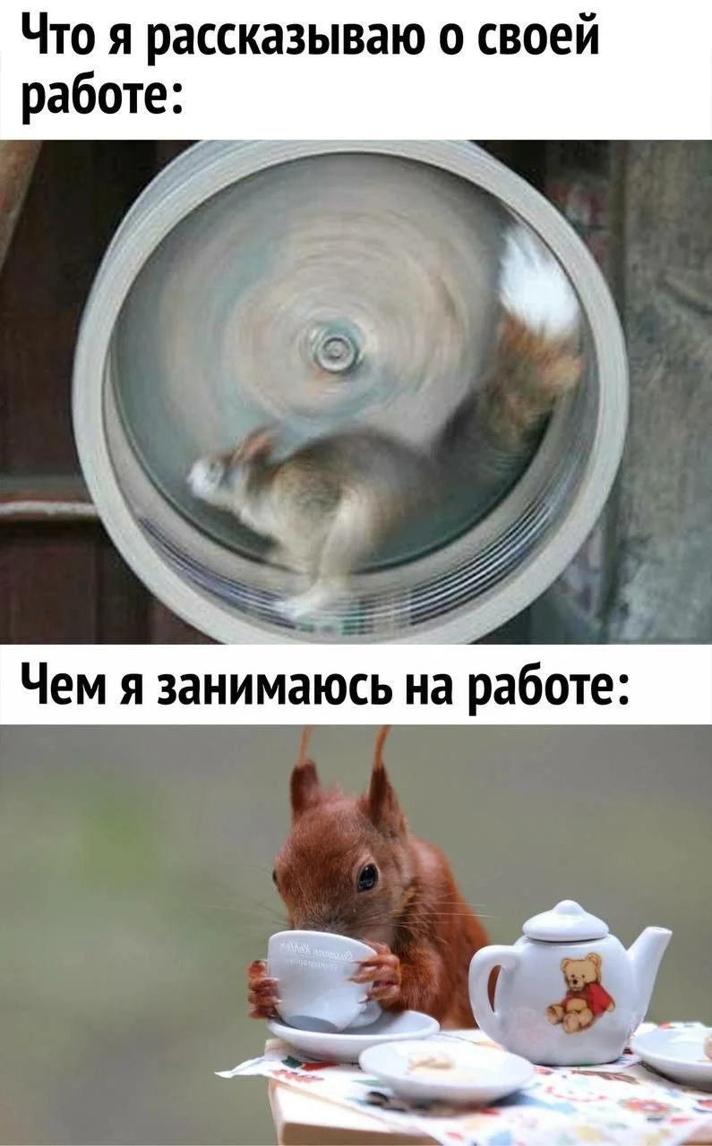 Юмор выходного дня 😂