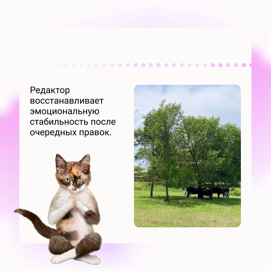 Диджитальщики, срочно присылаем свои дачи ‼️