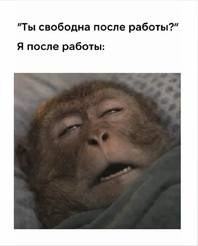 Юмор выходного дня 😁
