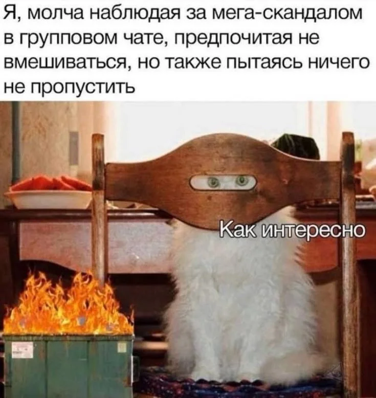Юмор выходного дня 😂