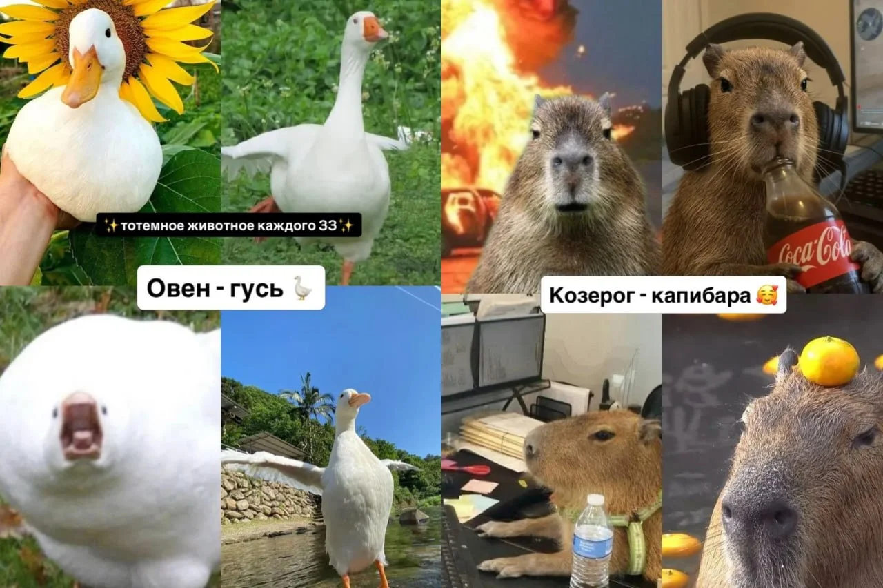 Что-то интересное....