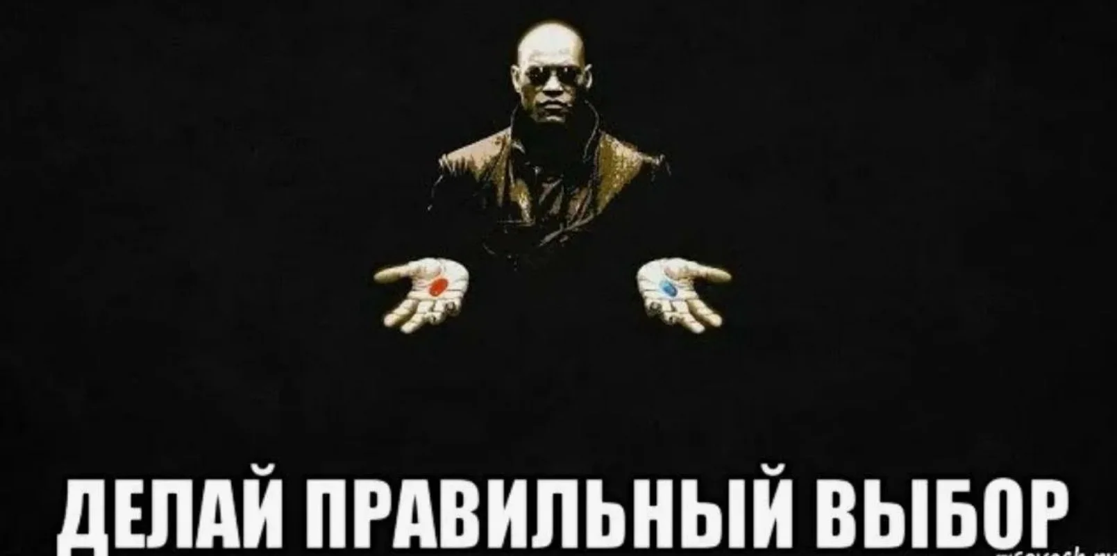 #импортозамещение #байрашевзакупки