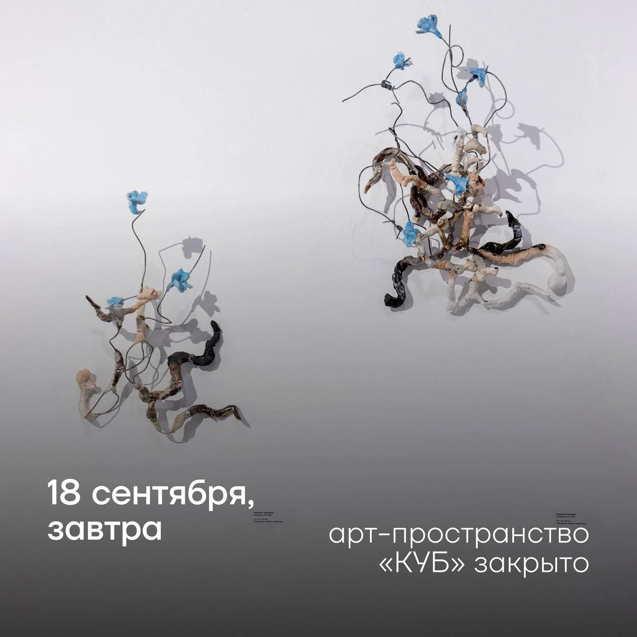 ✦ 18 сентября арт-пространство КУБ закрыто ✦