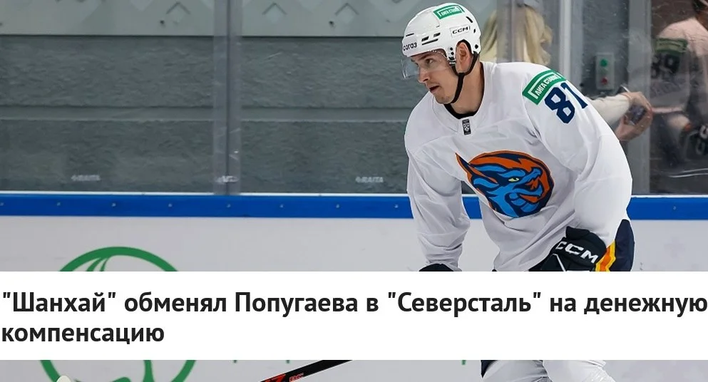 🐉 Шанхайские Драконы обменяли нападающего Никиту Попугаева в 🟡 Северсталь на 💸 денежную