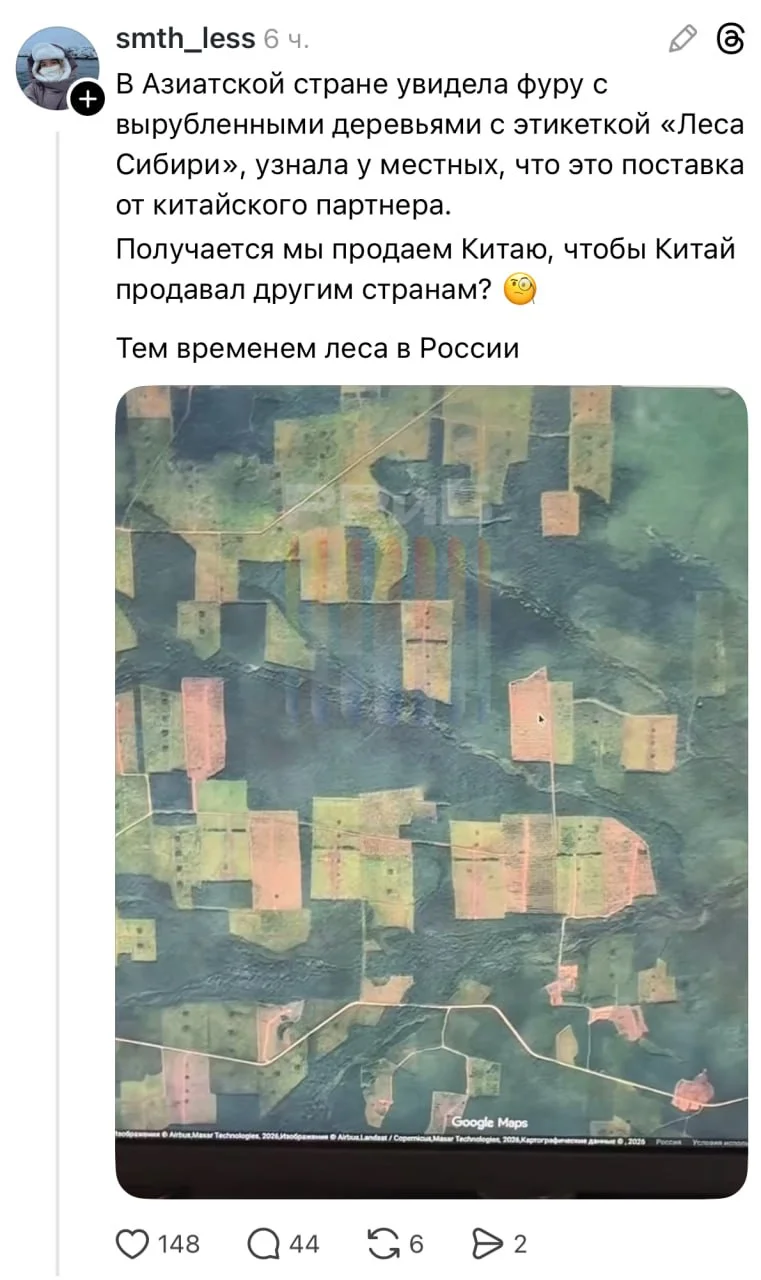 Россияне шокированы масштабами вырубки леса в стране