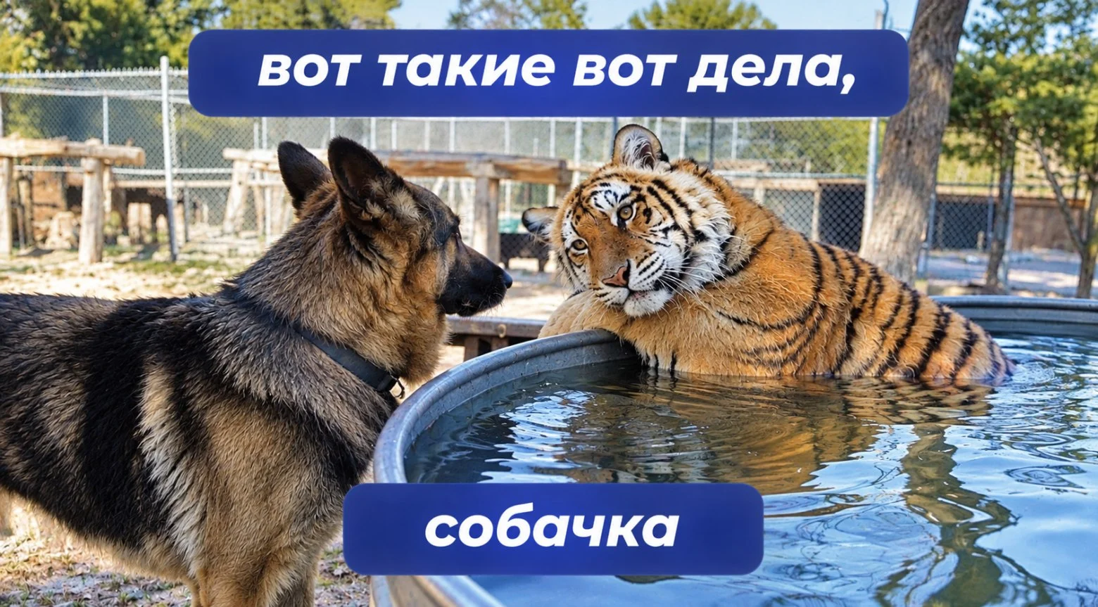 Запрещенные площадки для рекламы: как не нарваться на штраф в 2026/27 году?