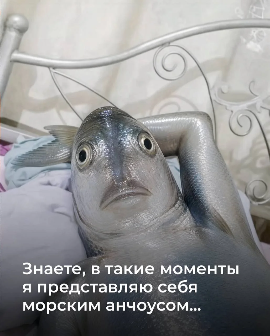 Последствия атак БПЛА на склады маркетплейсов затронули и довольно популярные медийные бренды
