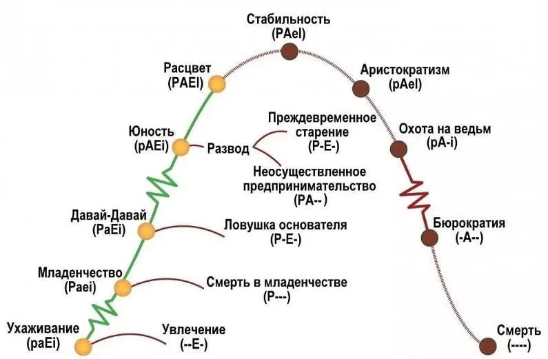Стадии развития компании и стили управления на каждой из них