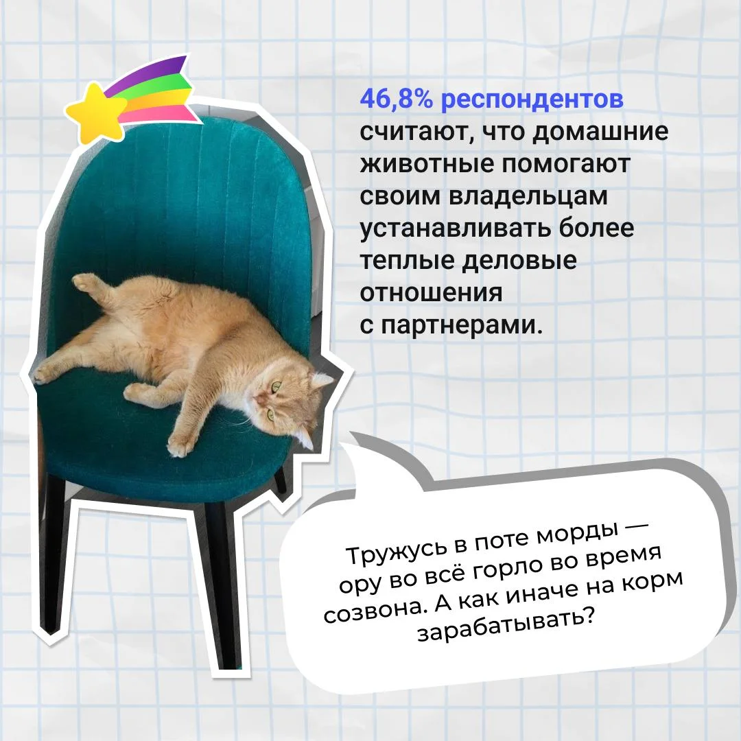 Коллеги, а у вас есть питомец?