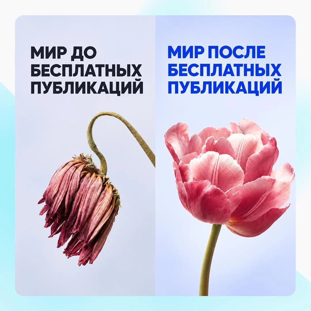 Дарим книгу — она поможет разместить публикацию в СМИ бесплатно