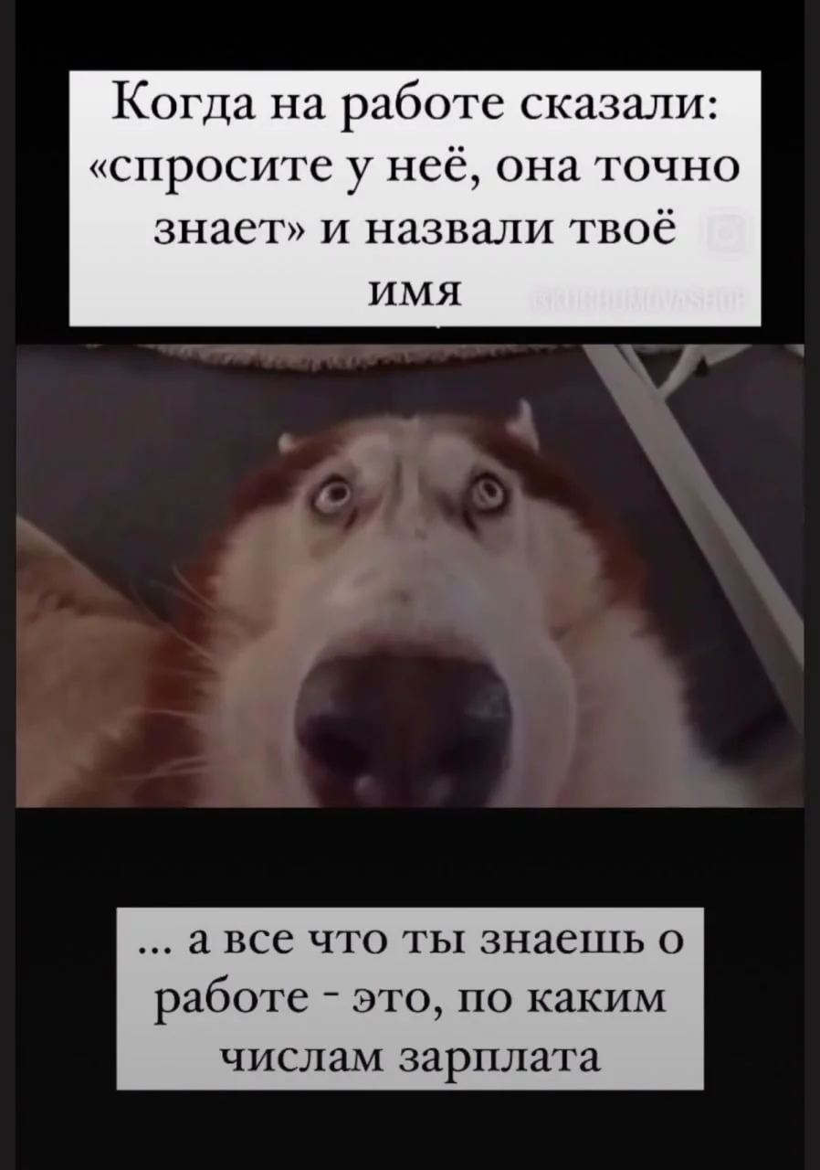 юмор выходного дня 😅😁